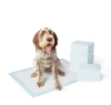 Pet Training and Puppy Pads, Regular - 100 Count
