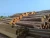 Import pine sawn timber charcoal from China
