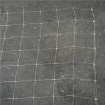 Plastic polypropylene trellis netting for support climbing plants