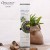 Import Private label OEM Factory Clean and Clear Whitening Tea tree Foam Face wash for oily skin from China