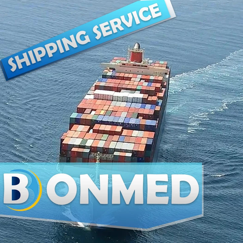 Professional Sea Shipping Cargo Sea Freight Sea Shipping Agent In China Ddp Service To Luxembourg Netherlands Belgium Ireland
