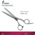 Import Professional  stainless steel barber scissors hair cutting thinning hairdressing shears for salon from China