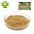 Import Pure, Natural & Fresh Burdock Root Extract from China