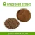 Import Pure natural Grape seed extract Proanthocyanidin / OPC 95% fruit extract from China