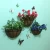 Import PVC Coated Metal Wall Hanging Planter Basket with Coco Liner from China