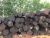 Import Pyinkado round logs timber from Vietnam