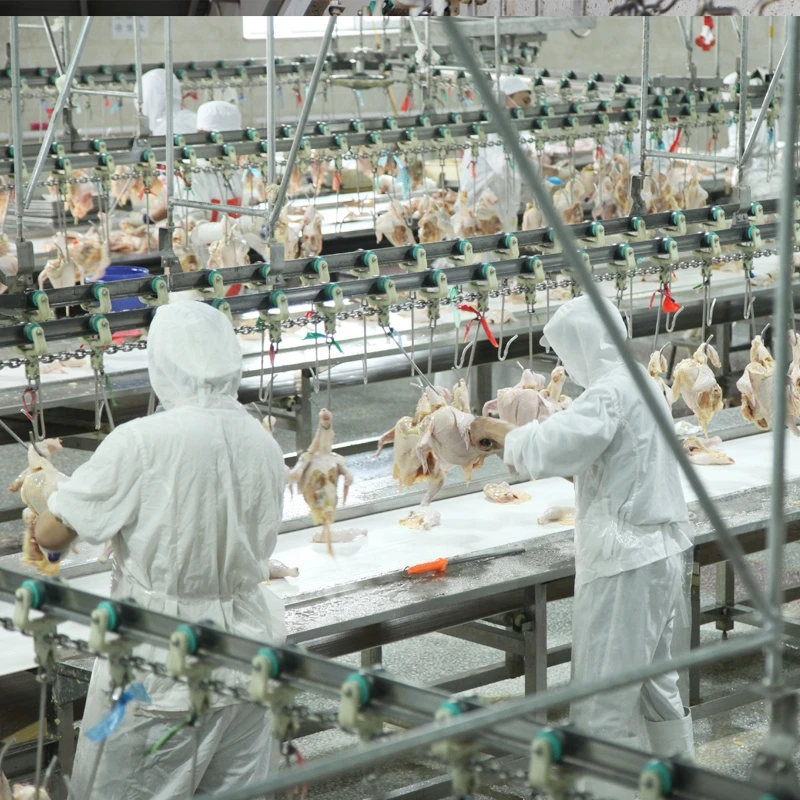 Qingdao Raniche Butcher Equipment Chicken Slaughtering Machine Meat Process
