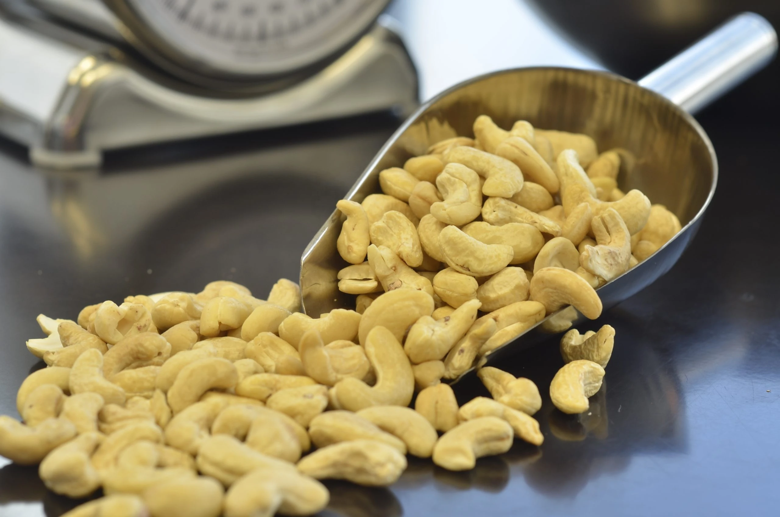 Buy Raw Whole Cashew Nuts For Sale from ROSEVIELD GROUP PTY LTD, South Africa