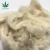 Import Semi-Bleached white 100%Hemp Fibre for Spinning Blending weaving Dyeing Strong Durable hemp fabric fiber from China