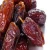 Import Semi Dry and Fresh Dates Fruits from Thailand