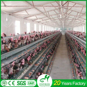 SIHAI layer poultry cages automatic quail cages for kenya with A and H types
