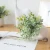 Import Simulation plant potted ornaments living room Eucalyptus plastic artificial flower ornaments Nordic green plants small bonsai from China