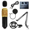 SKEREI Factory hot sales 2020 hot style high quality USB sound card with stereo L8 set microphone