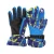 Import Ski Gloves for adults and Children from China
