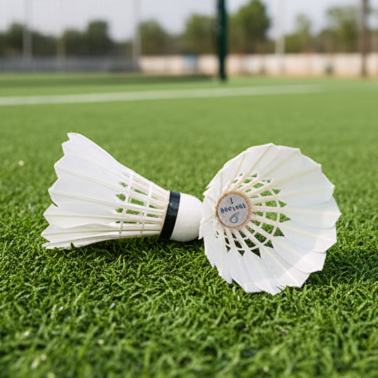 Goose Feather of The Badminton Racket in Good Quality for Match