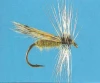 Spanish Caddis dry fishing fly