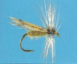 Spanish Caddis dry fishing fly