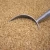 Import Special Basmati Rice, 200gm Longest basmati grain 100% organic free from Ukraine