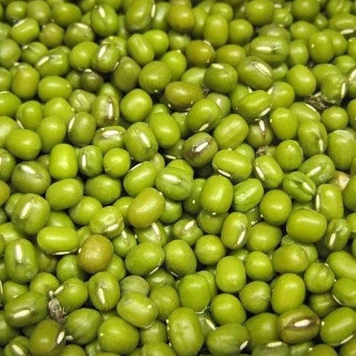 Split green mung bean from Vietnam with high quality
