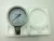 Import Stainless steel sanitary clamped diaphragm pressure gauge from China