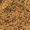 Stock feather cheap price dried black soldier fly for animal feed