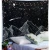 Import Sublimation Printed Custom Design Home Decoration Night Space Mountain Tapestry from China