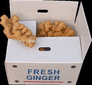 supply fresh ginger and air dried ginger 2018 Meet EU Standard