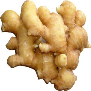 Supplying fresh ginger to export/organic ginger from Turkey