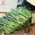 Import Taiping houkui Tarlton green tea leaves handmade organic green tea gift box from China