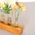 Import Test Tube Stand Hanging Flower Vase Decorative Rustic Wood Holder from China