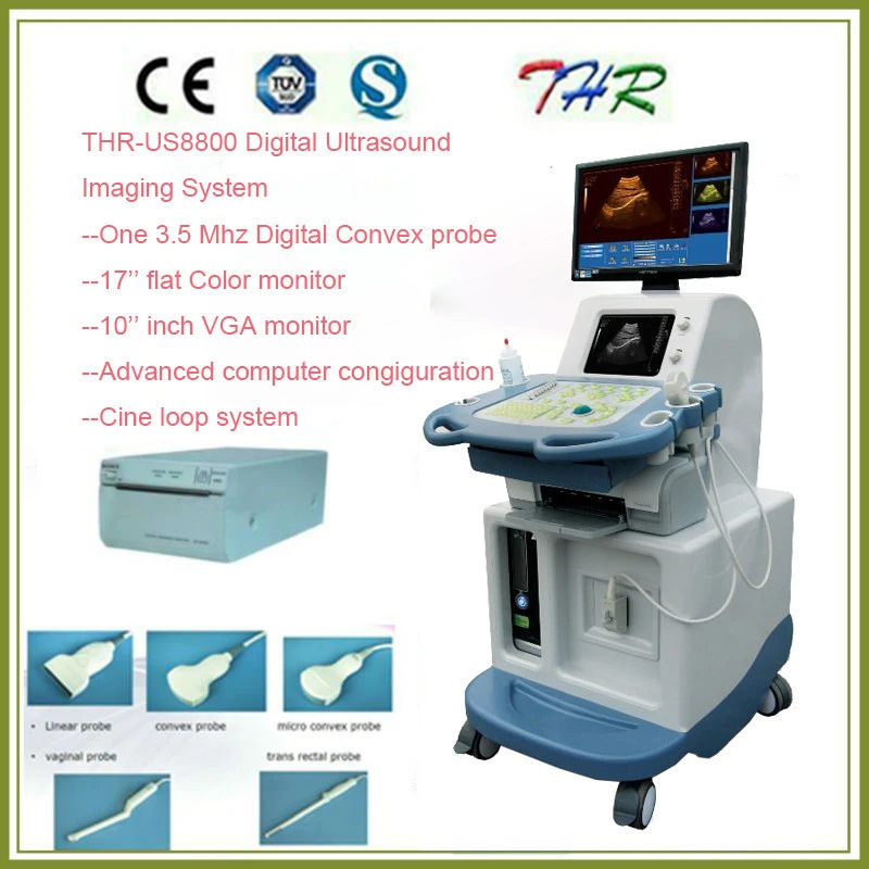 THR-US8800 Digital Ultrasound imaging system