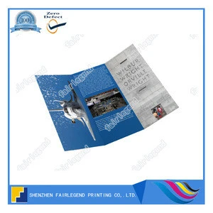 Tri-fold DL brochure full color printed both sides
