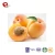 Import TTN Best Selling Chinese Preserved Fruit Golden Dried Apricot from China