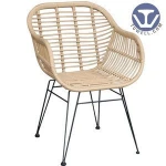 TW8711 Metal Rattan Chair Morden and Fashion beige color PE Rattan Wicker Dinning Chair Outdoor