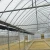 Import UV Resistant Durable 200 Micron Film Agriculture Multi span Film Greenhouse from China