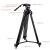 Import WEIFENG Professional 75mm Video Camera Tripod with Fluid Drag Head FC-270A from China