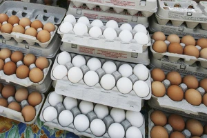 Fresh White and Brown Chicken Eggs For Sale