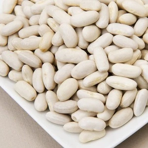 White kidney bean raw beans China product