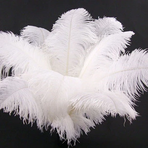 White ostrich feather plumes for wedding centerpieces decor party event supplies