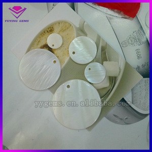White round shape nature seashell slices