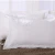Import Wholesale 100% cotton White Hotel Standard Pillow Cases Made In China from China