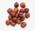 Import Wholesale 100% Natural Hazelnut Nuts Suppliers from Ukraine