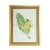Import wholesale fruit painting on paper for home goods prints wall art from China