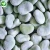 Import Grade A, Organic Peeled & Frozen Wholesale Broad Beans from China