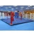 Import Wholesale international standard martial arts equipment boxing ring from China