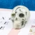 Import Wholesale Natural hand carved fengshui crystal miscellaneous stone Skulls from China
