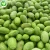 Wholesale organic best price frozen soybean price