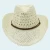Import Wholesale Promotional Custom Logo Band Straw Western Cowboy Hats from China