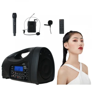 Wireless Bluetooth Audio Voice Amplifier With Double Microphones,Rechargeable Big PowerSpeaker