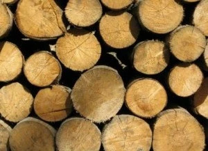 Wood raw materials